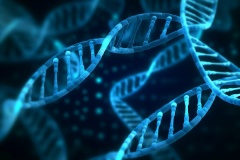 轉(zhuǎn)座子整合穩(wěn)定細胞株